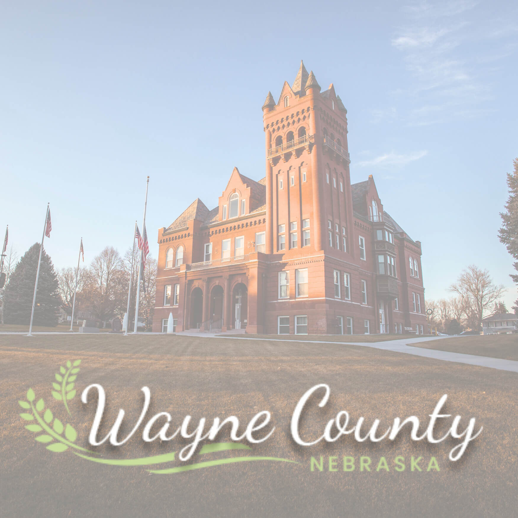 wayne county